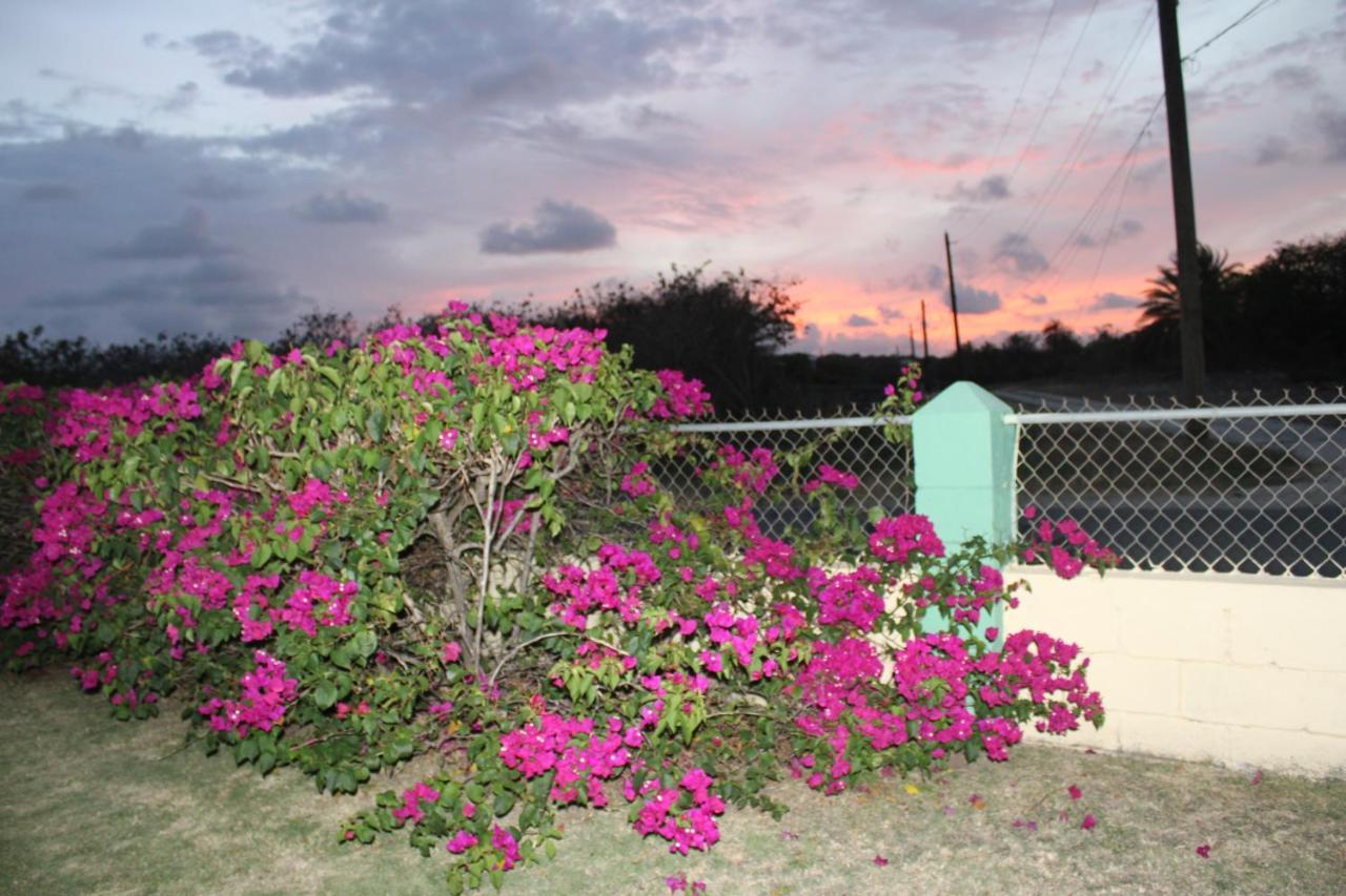 Tropical Garden Cottage Antigua St. John's 外观 照片