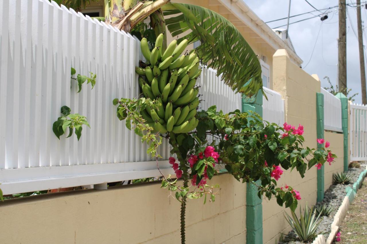 Tropical Garden Cottage Antigua St. John's 外观 照片