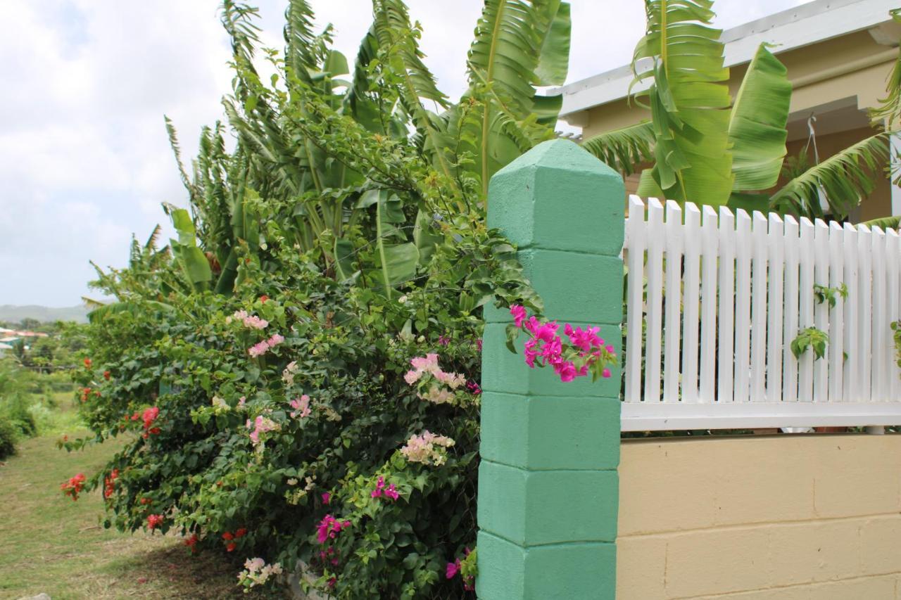 Tropical Garden Cottage Antigua St. John's 外观 照片