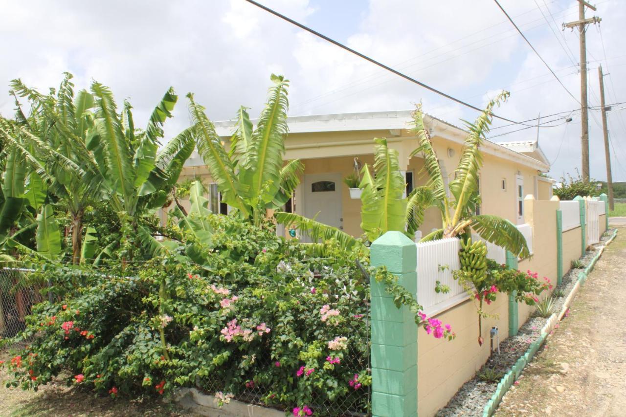 Tropical Garden Cottage Antigua St. John's 外观 照片